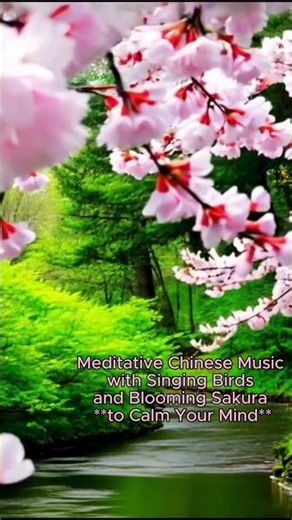 Chinese Relaxing Music Therapy for Stress Relief – Guzheng & Birdsong, Sakura Meditation