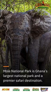 Top 5 Must-Visit Tourist Sites in Ghana #GhanaMonth #Foryoupage | Adom TV Xtra | Facebook