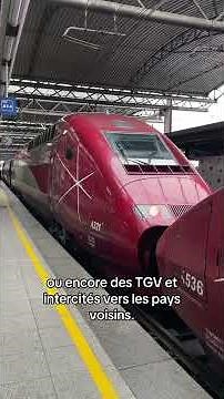 This barely 3-kilometer-long railway tunnel is the busiest in the world! #railway #SNCB