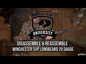 Disassemble & Reassemble Winchester SXP Longbeard 20 Gauge