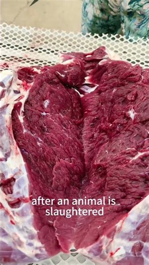 The beef is still twitching after being cut#popularscience #funfacts