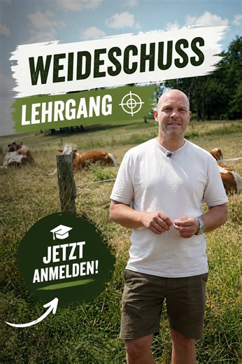 🦌 Weideschuss – sicher, waidgerecht und praxisnah. In unserem Weideschuss-Lehrgang lernst du alles, was du für den fachgerechten Weideschuss wissen und können musst – mit erfahrenen Ausbildern und viel Praxis. Interesse? Informiere dich jetzt und sichere dir deinen Platz! 🌿 #Weideschuss #Jagdschule #Jagdschein #Jagd #Jäger