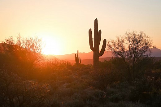 86  Best Team Building Activities in Phoenix in 2026 | Teamland