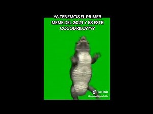 PRIMER MEME DEL 2024 cocodrilo baila ijbiñij