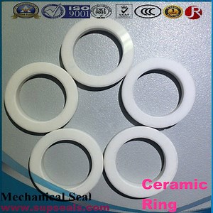 [Hot Item] Ceramic Seal Ring Mechanical Seal Ceramic