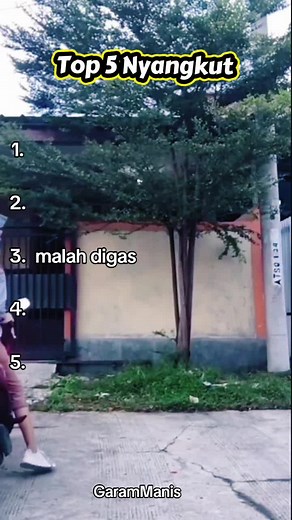 Top 5 Nyangkut lucu: kompilasi momen nyangkut di pagar & emak-emak