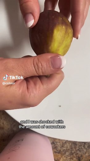 Give them a try! Figs are high in fibre, and great for your health. In season in North America from August-October. #howtoeatfigs #figs #howtoeat #fruit #fig #figjam