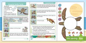 Recycled Bottle Turtle Craft