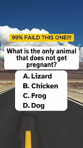 164K views · 7.2K reactions | What is the only animal that does not get pregnant? #quiz #fun #brainteaser #fblifestyle | Extra Info | Facebook
