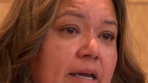 DACA recipient deported after routine appointment returns home after judge ruling