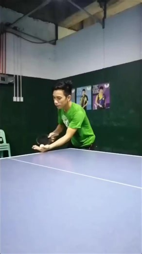 Table Tennis Champions Highlights