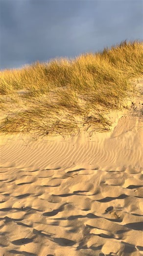 Discover Why Scotland is the Best Place in the World