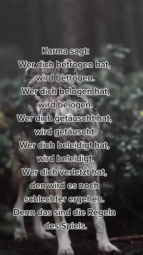 netti (@netti1174)’s videos with Originalton - netti