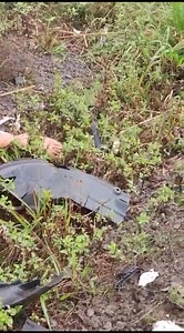 Terrible Road Accident In Brazil