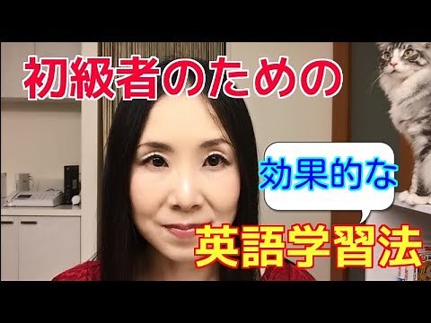 英語初心者必見！知っておくべき勉強法とコツ－まずは語彙と文法をやる！