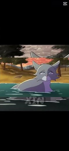 Crowfeather X Feathertail (35 sub special)!