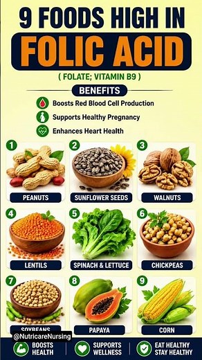 Foods High in Folic Acid | Best Vitamin B9 Rich foods