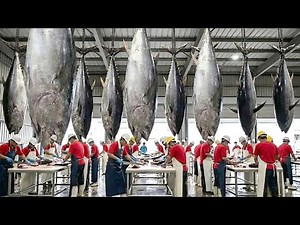 How Fish Oil Capsules Are Made | Fish Oil Production Process (full process)