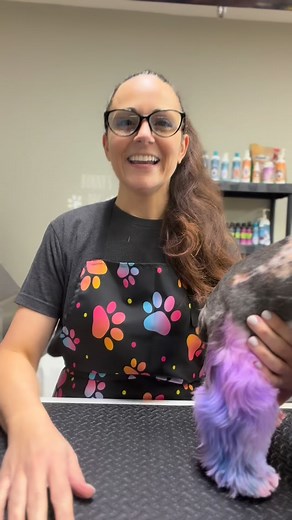 5.6K views · 828 reactions | #gotcha #madeyoulaugh #staytuned | Michelle Caluneo | Facebook