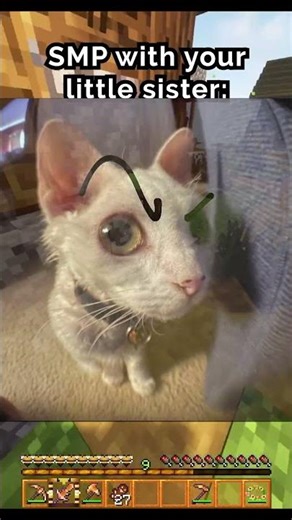 POV Playing minecraft with your little sister