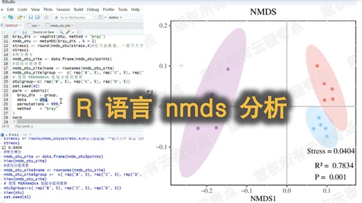 用 R 完成 NMDS 分析：结果解读、PERMANOVA 检验与 PDF 保存