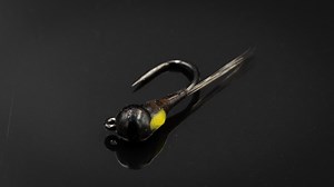 Code Cracker - PMD Nymph