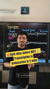 👉Transcription in prokaryotes involved sigma factor and rho factor #neet2026 #neetcoachings