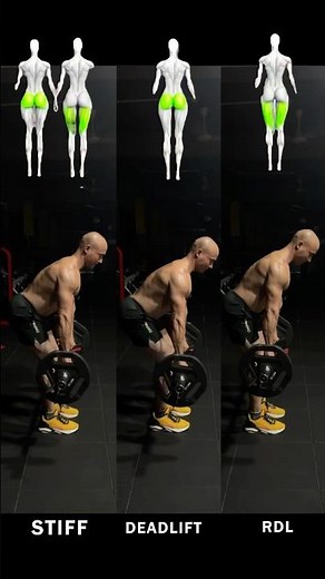 Stiff Leg Deadlift vs Romanian Deadlift vs Deadlift | Key Differences Explained #Shorts