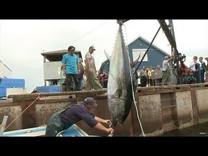 #130 【PART1】世界一忙しい釣り具屋のオヤジ、黒マグロに挑む～カナダ プリンス・エドワード島～