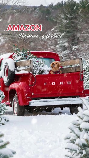 Christmas List 2022 on TikTok