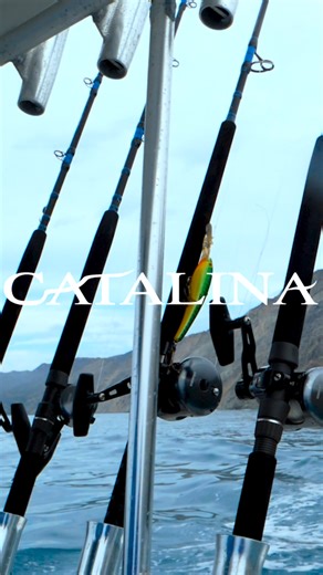 1.8K views · 28 reactions | Okuma Catalina Rods in Action at Catalina...