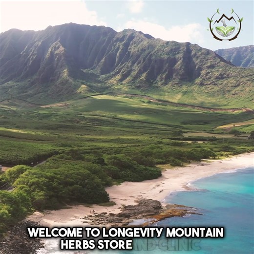 Trusted Chinese Herbs Store in Houston – Longevity Starts Here