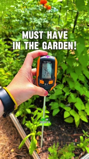 Garden must-have essentials tips and practical insights
