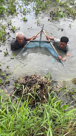 147K views · 771 reactions | Trapping many of big eel fish with primitive technology | Emma Girl Fishing | Facebook