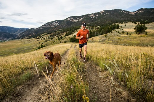 Looking for a Running Buddy? These are the Best Dog Breeds for Runners