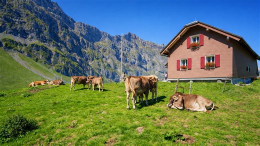 Mount Titlis and Trübsee scenic alpine journey Switzerland (4K)