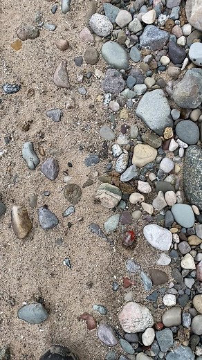 8.6K views · 28 reactions | Very small pudding stone #puddingstone #rocks #rockhound | Jerry Carrick | Facebook