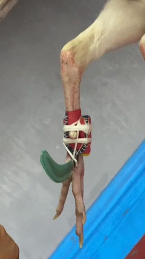 #tutorialforgaffing boss jojo ng silver mallet ☺️ | Mamage Cabrera