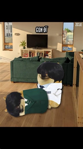 Ba em không có nhà #memes #cheems #funny