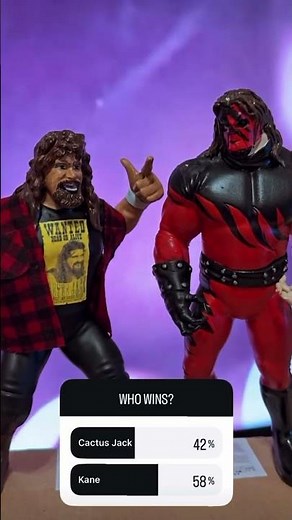 Voting Results! 1980s WWF Matches