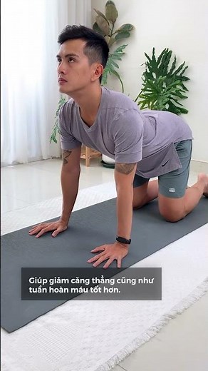 Tập Đúng Tư Thế Mèo Bò Yoga Hướng Dẫn Cho Người Mới (Cat Cow Pose for Beginners) | Nguyên Yoga