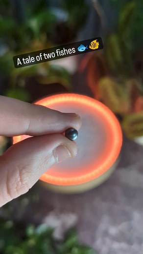 34K views · 10K reactions |  Ready to watch this mesmerizing work of art come to life? 朗 My Oasis Mini kinetic art canvas draws a fish in sand – it’s so mesmerizing and calming to watch. 律 Who else wants to get one of these for their home and chill out with some stunning visuals?  #art #kineticart #sandart #kineticsand #drawing #aesthetic #oasismini #relaxation #mesmerizing | Grounded Labs | Facebook