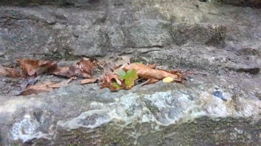 A beautiful open air pit here in Tennessee! #waterfall #Tennessee | TAG Caver