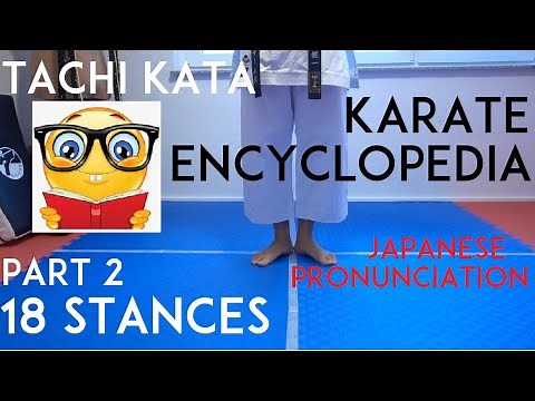18 KARATE STANCES/TACHI KATA - japanese pronunciation included - karate encyclopedia PT 2 - TEAM KI