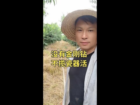实践是唯一可行的种植技术 #杰哥农场传播种植实用技术 #农业技术推广 #抖音助农