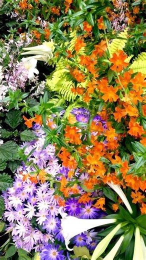 THIS FLOWER COLOR EXPLOSION IS UNREAL! 😱🌸 LONGWOOD GARDENS