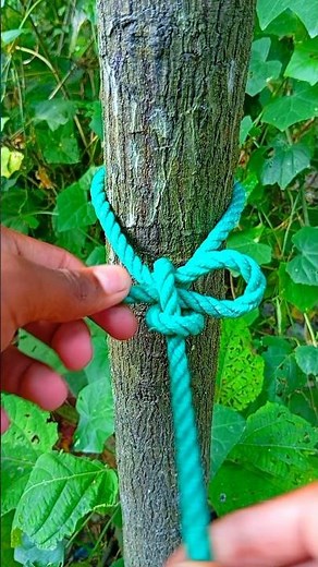 How to Tie a Quick & Strong Knot Around a Tree 🪢