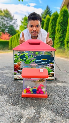 Mini Betta Fish Tank House vs fish tank #unboxing🔥
