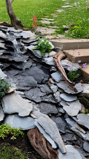 8.3K views · 339 reactions | This clematis has gone crazy this year | Coppervine Feeders | Facebook