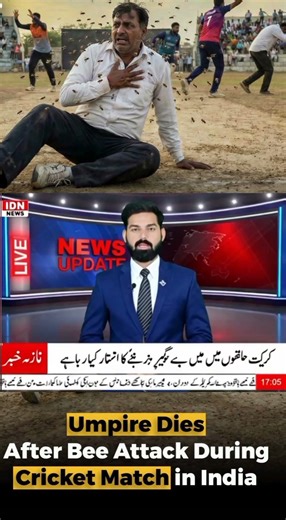 😢🏏 Tragic Loss in Cricket | Veteran Umpire Manik Gupta Passes Away After Bee Attack